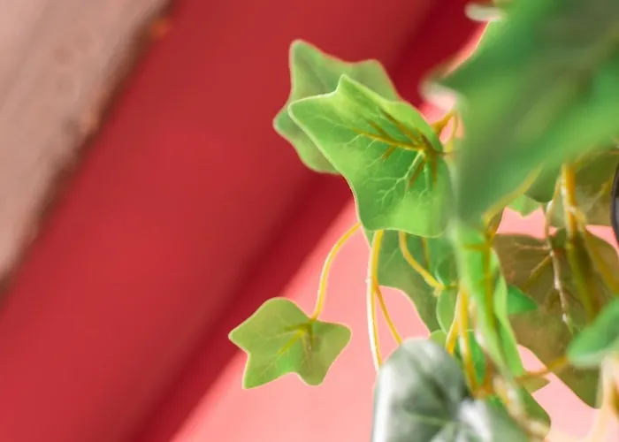 Apartamento Wine Ciliegiolo